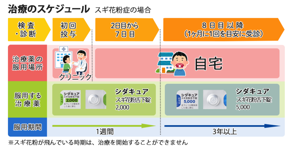治療のスケジュール_スギ花粉症